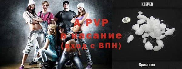 стаф Алексин