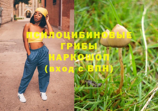 стаф Алексин