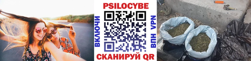 Псилоцибиновые грибы Psilocybine cubensis  дарнет шоп  Кольчугино 