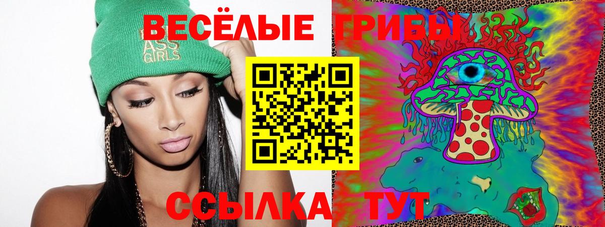 Псилоцибиновые грибы GOLDEN TEACHER Кольчугино